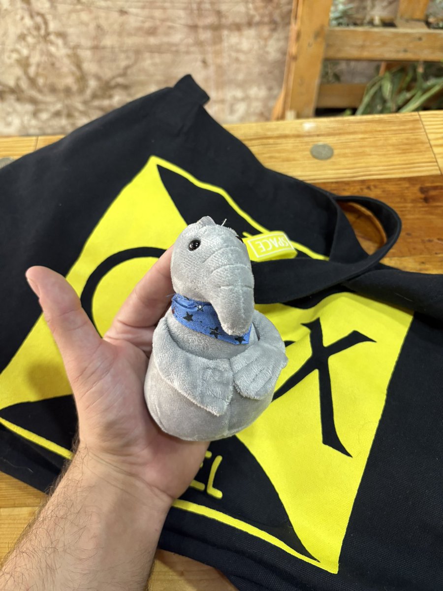 munsonvamp3's tweet image. guys look at the skrunkly creature my irl brought me from their home country