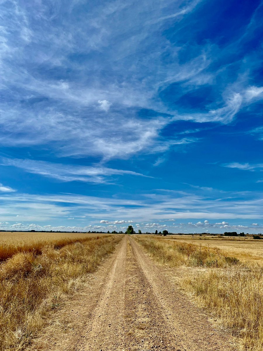 Un encuentro rural. Por <a href="/J_clmnte/">Clemente</a>  

«No pude hacer otra cosa que darle las gracias, estrecharle la mano y regresar a casa bajo el vuelo de los halcones»

sustrato.io/textos/estrell…