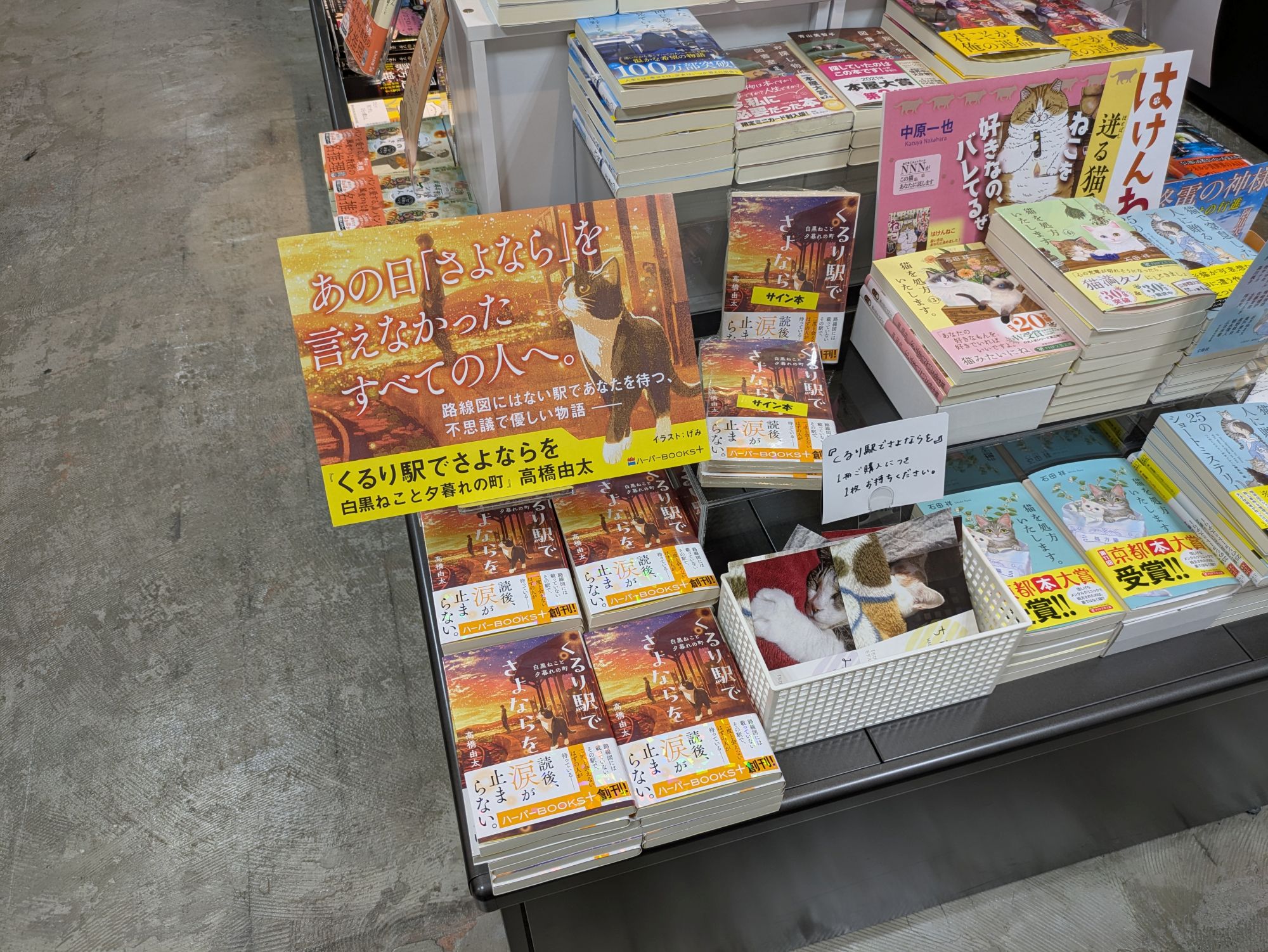 【中古】 木曜日になれば/ハーパーコリンズ・ジャパン/アン・ハンプソン 中古】 木曜日になれば/ハーパーコリンズ・ジャパン/アン