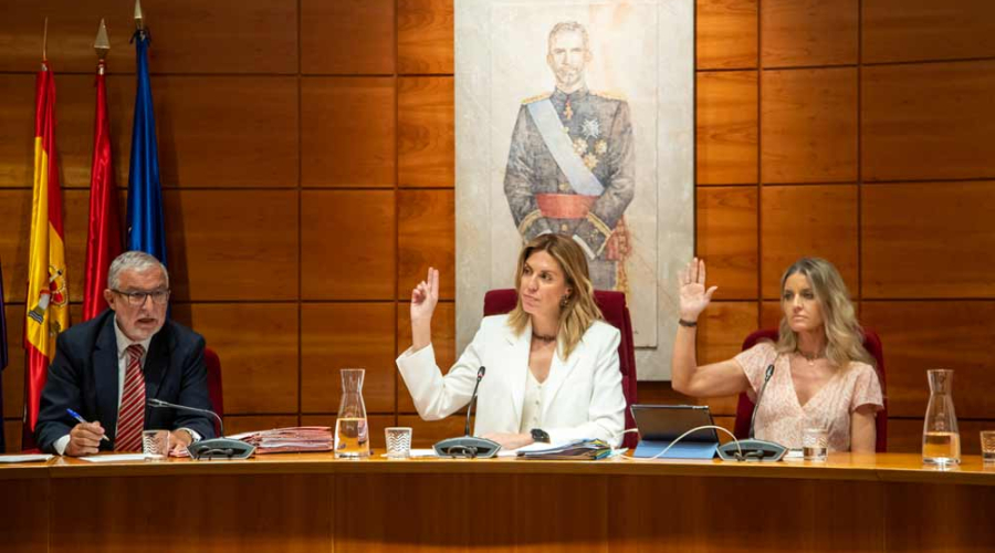 Foto cedida por Ayuntamiento de Pozuelo de Alarcón