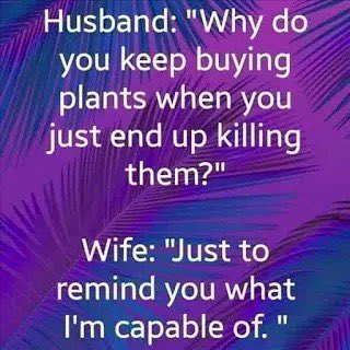 rjcidc55's tweet image. Good morning Gentlemen. This is a rare admission that one must take at face value. Women love beauty. Plants in a subtle way represent her nurturing instincts. If you’re noticing ripples in your marital pond and the plants aren’t budding you my wonder, did I do something? This is…