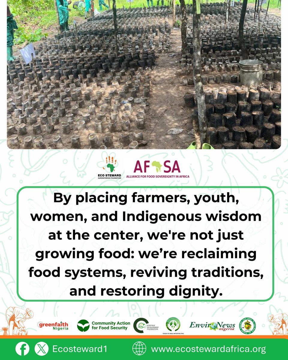 ecosteward1's tweet image. When farmers, youth, women, and Indigenous wisdom lead, we don’t just grow food,
we grow justice, sovereignty, and dignity.
Young agroecologists are reclaiming our food systems from the ground up, and leading the way.
#Youth4Agroecology