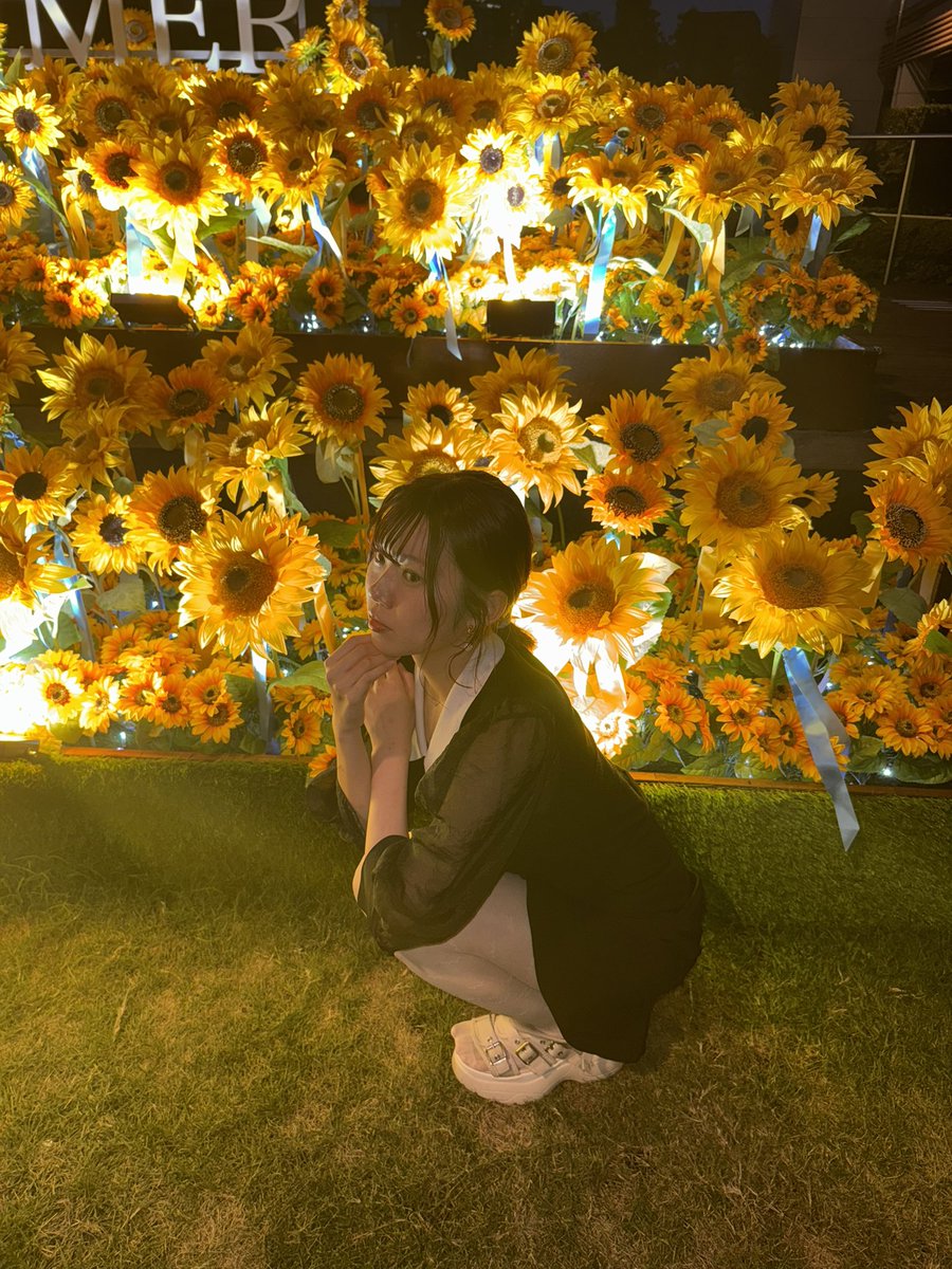 ひまわり - অনুসন্ধান / X