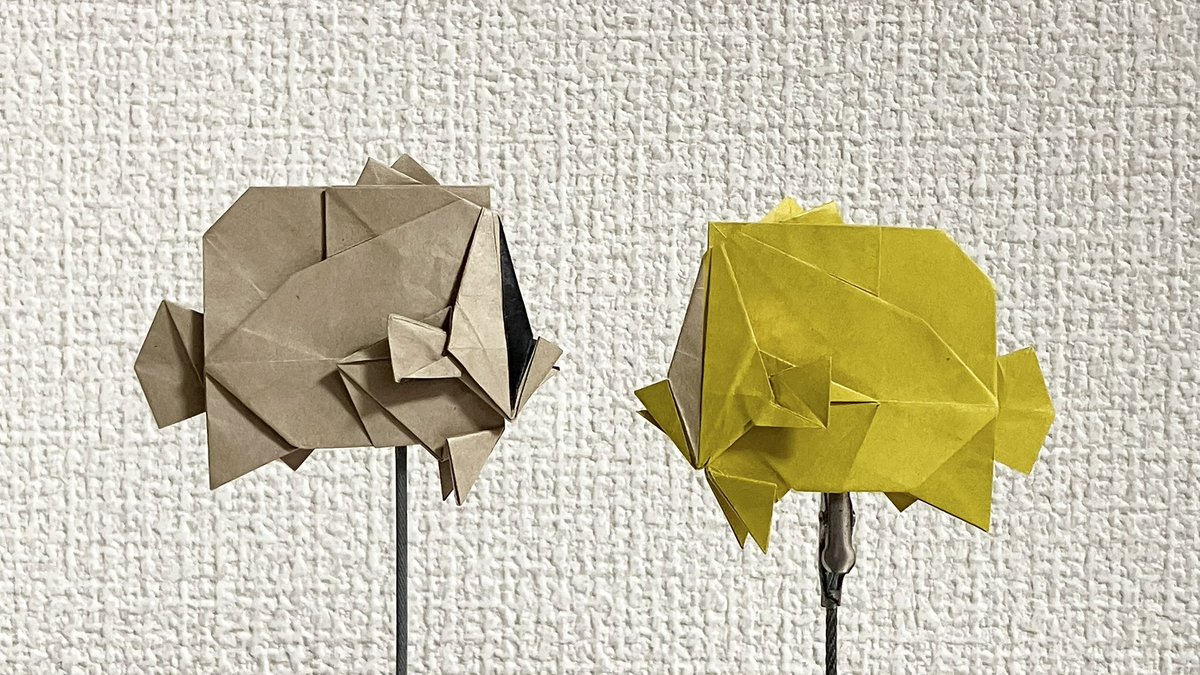 チョウチョウウオ