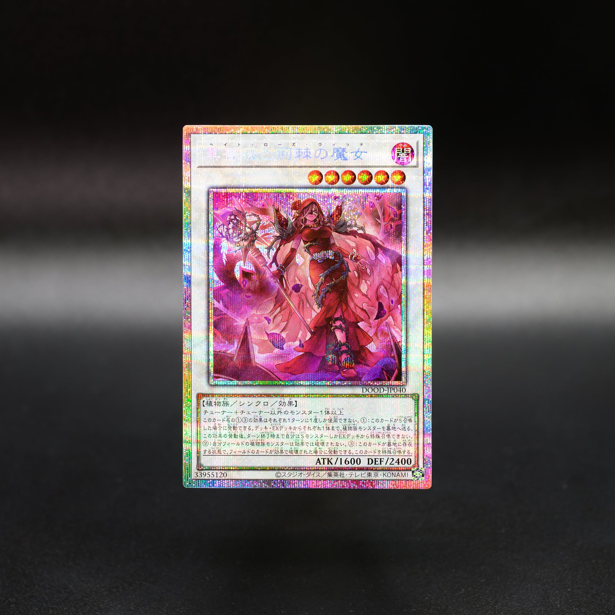 遊戯王　10000枚　日本語版　まとめ　大量　♪274 公式】遊戯王OCG on X: 