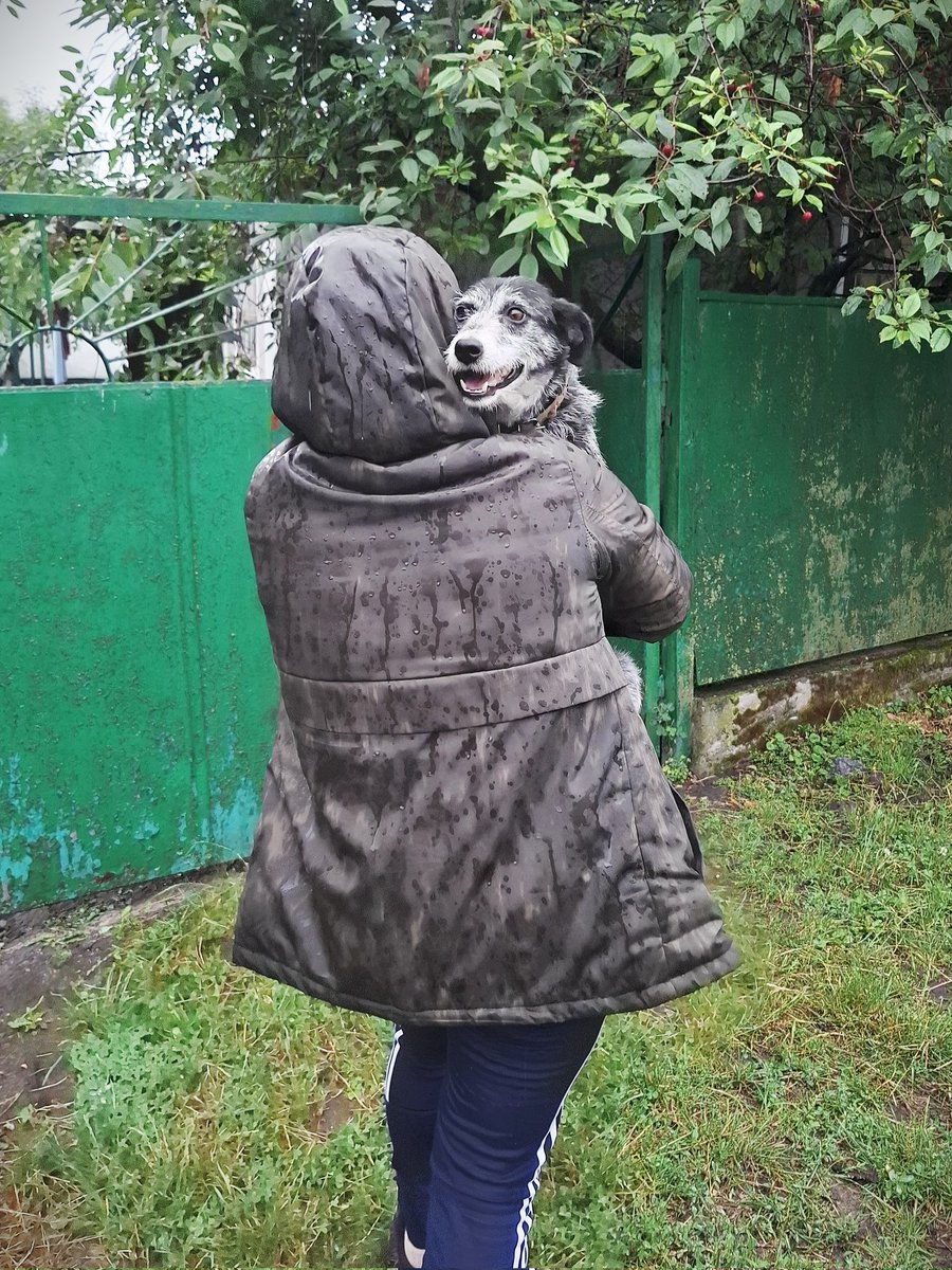 UAnimalsENG's tweet image. 📌 1,245 days of the full-scale invasion
Yesterday UAnimals:
🐾 🚙 Transported 14 animals that had been evacuated earlier to their families and shelters.
🦊🦊🐾 Transported two foxes and an arctic fox from the "Wildlife Rescue Center" in Kyiv region to the "Home for Rescued…