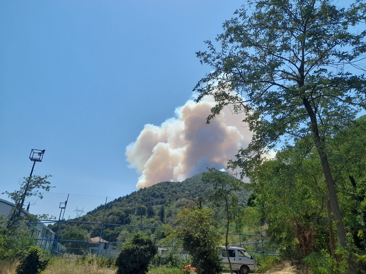 Bir dakika bile geç kalmadan bütün dağ yollarının güvenliği sağlanmalı.
Giriş çıkışlar kontrol altına alınmalı.
Geyve Boğazı da yanıyor.
Yanıyor...
Bu sesi duyun.