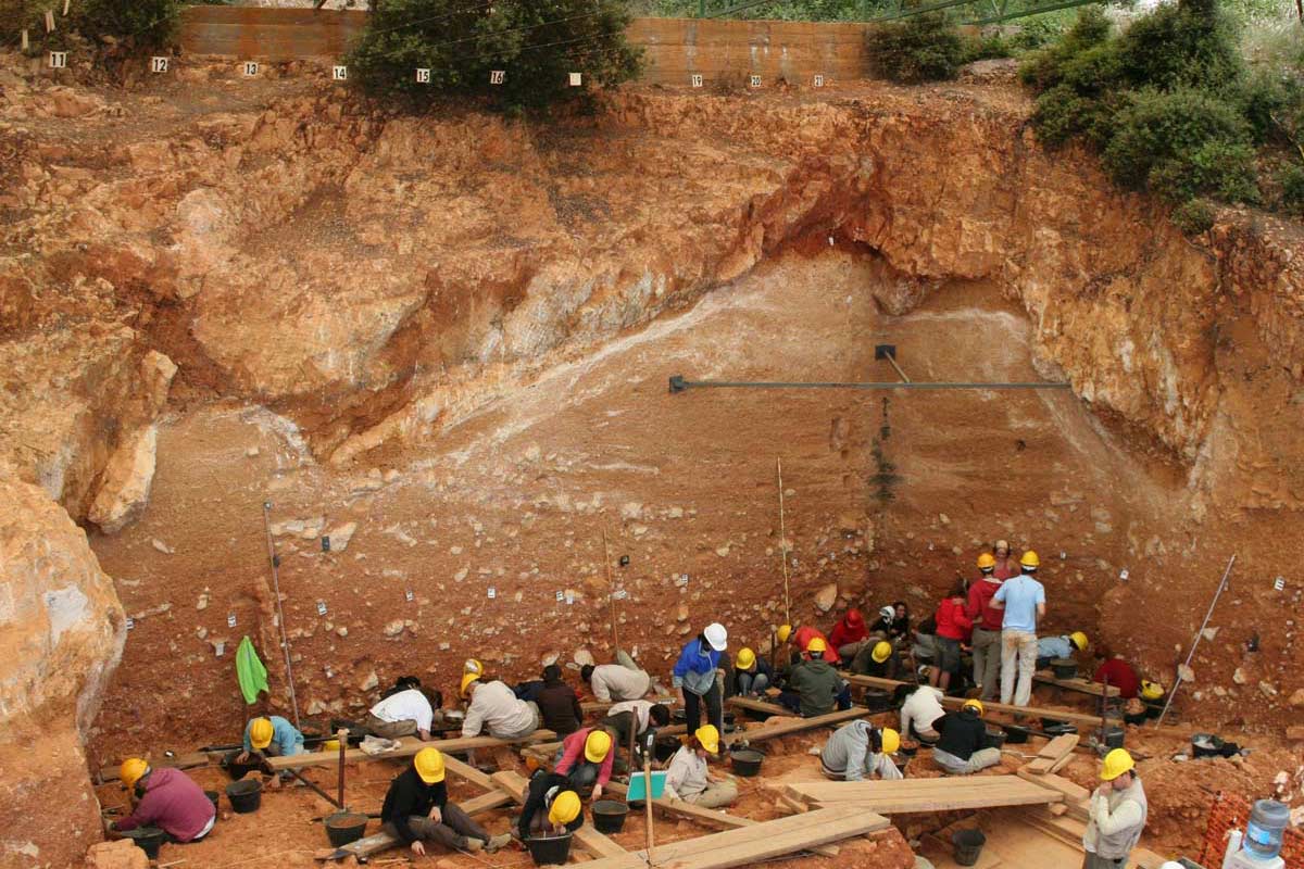 AventurHistoria's tweet image. 👣 Tras las huellas del Homo antecessor 💀
📚 Dos de los directores de las excavaciones de Atapuerca desvelan en esta obra cómo fue el hallazgo de los restos y el reconocimiento internacional de esta especie del lejano pasado de la humanidad
laaventuradelahistoria.es/las-huellas-de…