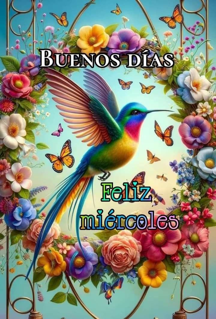 BUENOS DIAS!!
UN MARAVILLOSO MIERCOLES LES DESEÓ A TODOS MIS QUERIDOS AMIG@S DE X. QUE EL CREADOR LOS BENDIGA Y PROTEJA SIEMPRE.
🙏☕🍀