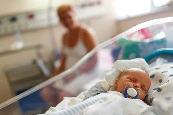 Hilo sobre cómo el aborto se ha desplomado en más de un 50% en Argentina entre 2023 y el primer semestre de 2024, coincidiendo con la llegada de Javier Milei y con la aplicación de una serie de políticas en materia abortiva.
1/9