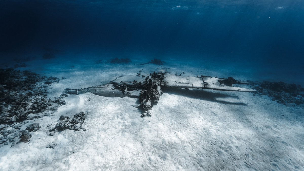 ocean__crew's tweet image. 静かに眠る。

#海の中