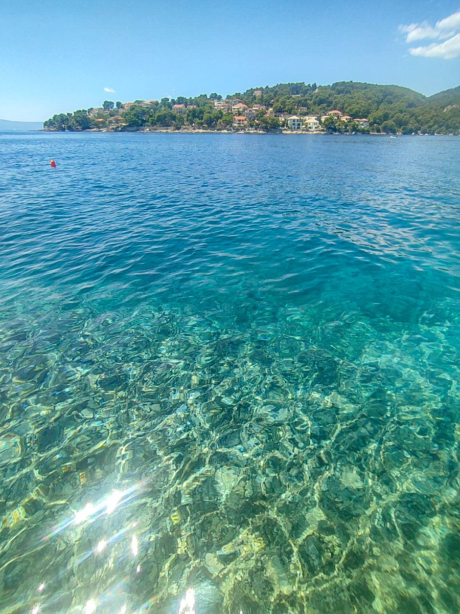 RIllyricum's tweet image. Kad ti je ispod kuće more bistrije od ljudi 🤣🌊🇭🇷