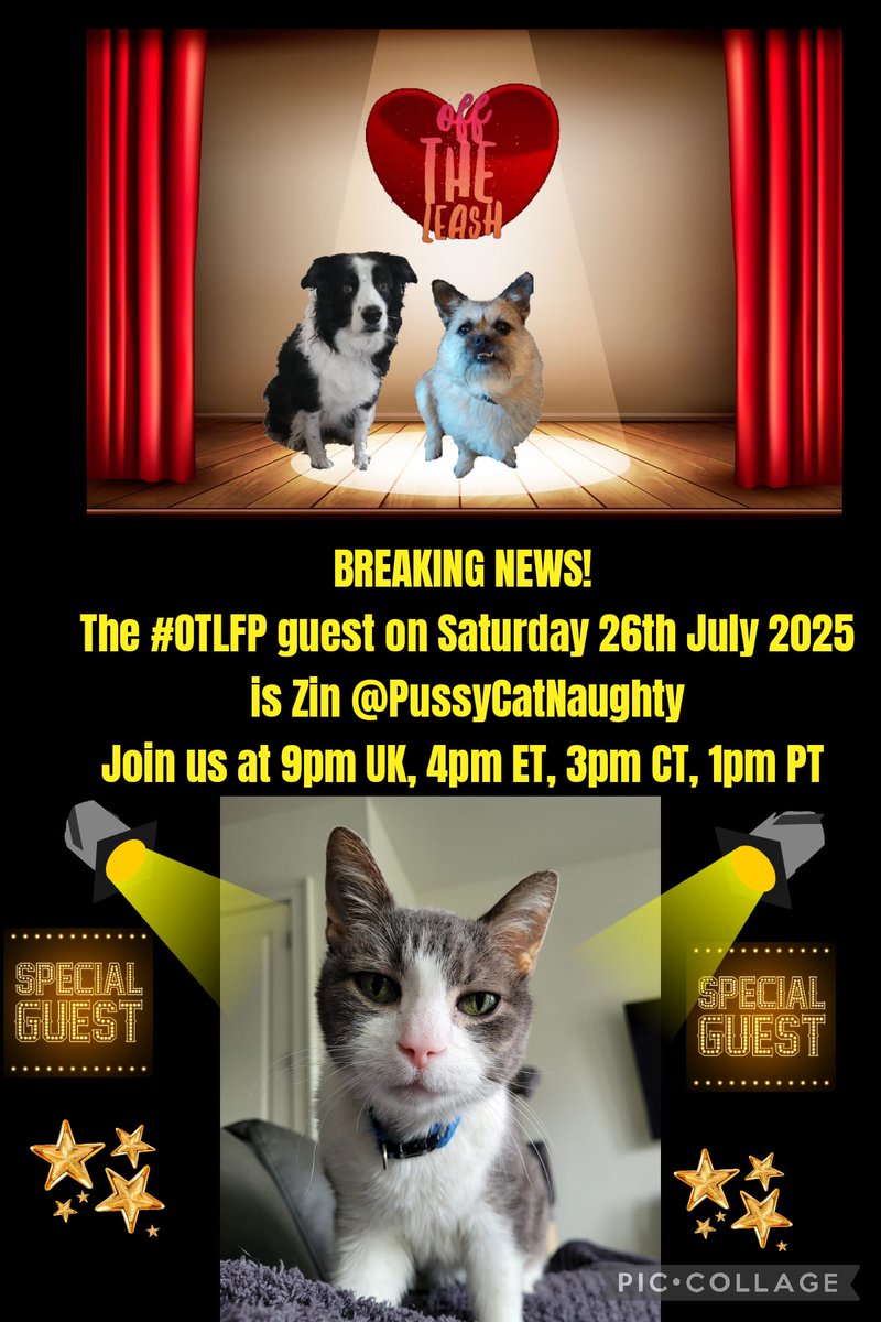 PixieππMillieπMooseπFancyπWickettπStanπ (@pixie_tooth) on Twitter photo Join us Saturday 4pm ET 3pm CT 2pm MT 1pm PT UK 9pm
Search & follow #OTLFP to join in all the fun! All are welcome! π
@snowby21
<a href="/good_pbgv/">Major Frankie & cousin Dottie PBGVs extraordinaire</a>
@trotterpossum
@sassytheminpin
<a href="/jackiewhitting5/">Rory π» Missing all pals OTRB ππ’</a>
@margaretaugrad
@alansla90124663
@inokumaT
<a href="/tikamary1/">Diva & πTikaπ</a> Join us Saturday 4pm ET 3pm CT 2pm MT 1pm PT UK 9pm
Search & follow #OTLFP to join in all the fun! All are welcome! π
@snowby21
<a href="/good_pbgv/">Major Frankie & cousin Dottie PBGVs extraordinaire</a>
@trotterpossum
@sassytheminpin
<a href="/jackiewhitting5/">Rory π» Missing all pals OTRB ππ’</a>
@margaretaugrad
@alansla90124663
@inokumaT
<a href="/tikamary1/">Diva & πTikaπ</a>