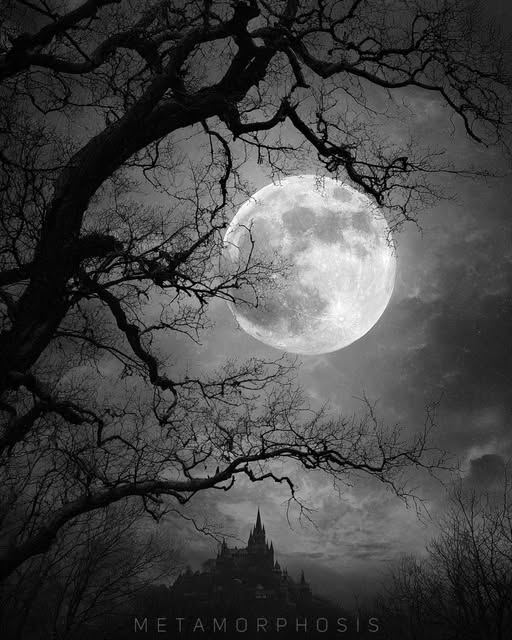 dusterdog1's tweet image. Gotta get showered and dressed as I must head out soon for physical therapy, but I want to leave you with this.
It's in remembrance of Ozzy Osbourne.