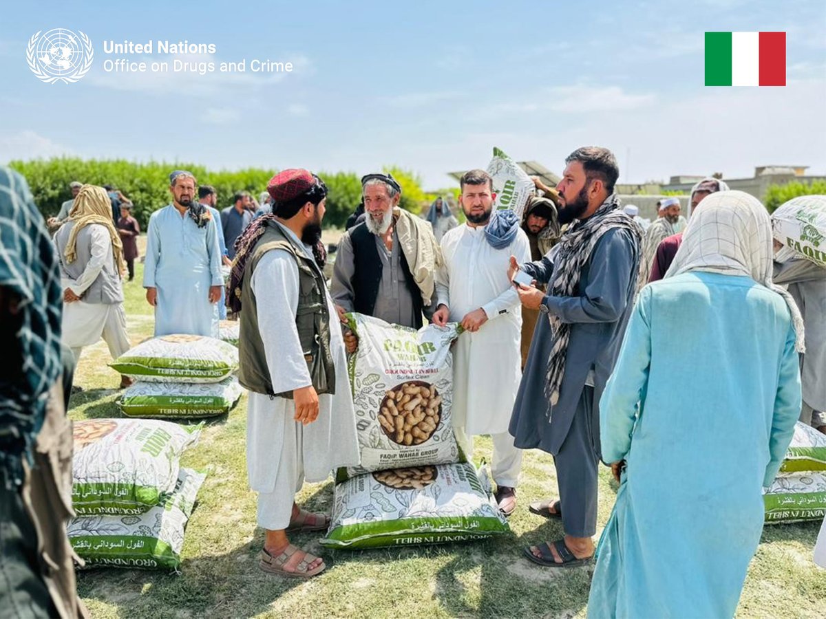 UNODC_COAFG's tweet image. UNODC #Afghanistan with financial support from #Italy🇮🇹, provides alternative livelihoods for farmers in Herat &amp;amp; Nangarhar provinces through high-value crops such as rose &amp;amp; saffron, helping to build a more sustainable licit local economy.