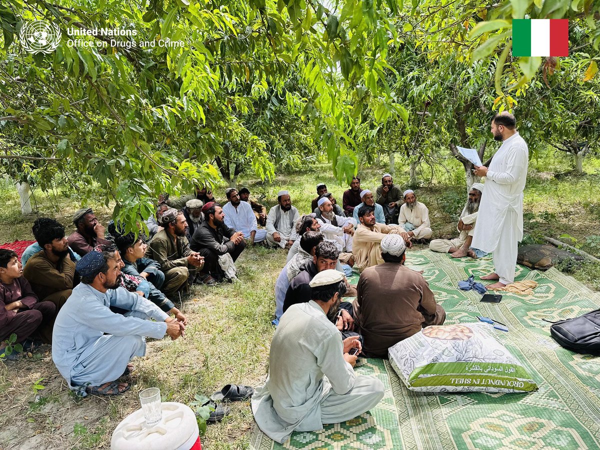 UNODC_COAFG's tweet image. UNODC #Afghanistan with financial support from #Italy🇮🇹, provides alternative livelihoods for farmers in Herat &amp;amp; Nangarhar provinces through high-value crops such as rose &amp;amp; saffron, helping to build a more sustainable licit local economy.