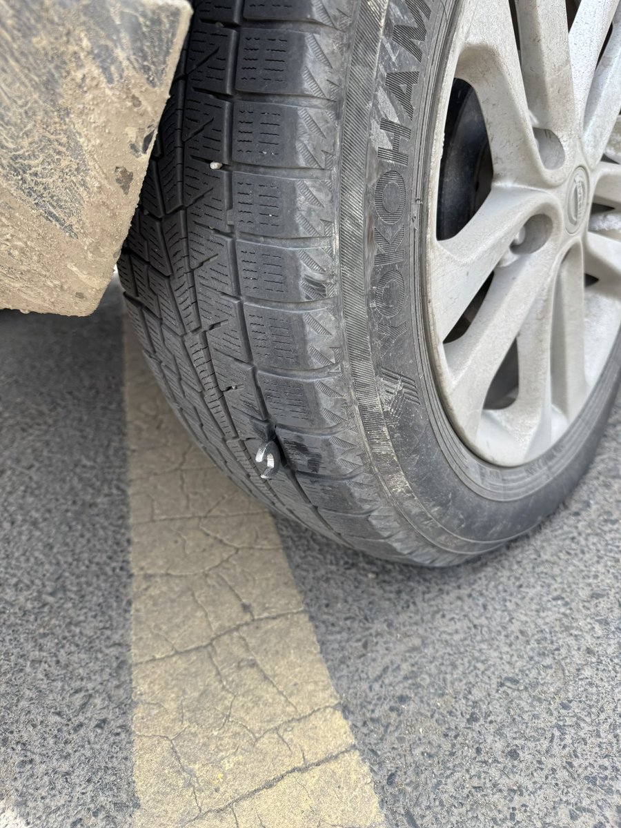 Гайхалтай биш гэж үү?😅

Үзүүргүй талаараа зоогдсон байгаан.