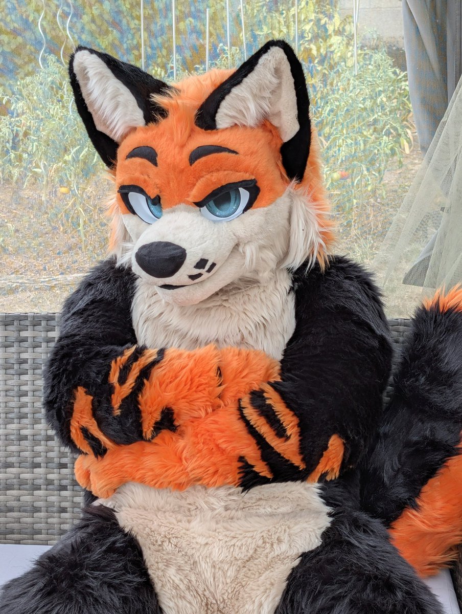 GryveAwoo's tweet image. Grumpy Wolf