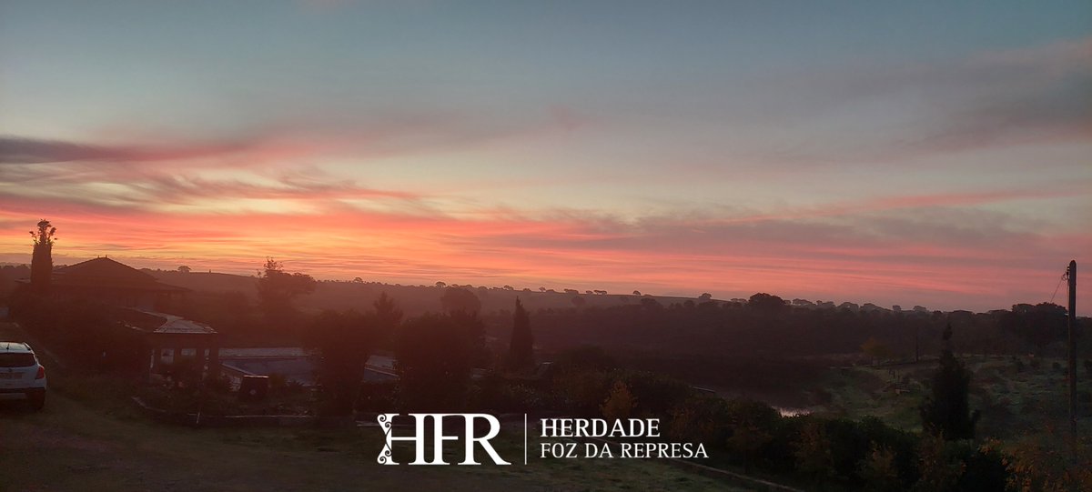 HerdadeFozdaRep's tweet image. Sunrise at our Herdade
Book your Exclusive View
HerdadeFozDaRepresa.com
#Sunrise #Alentejo