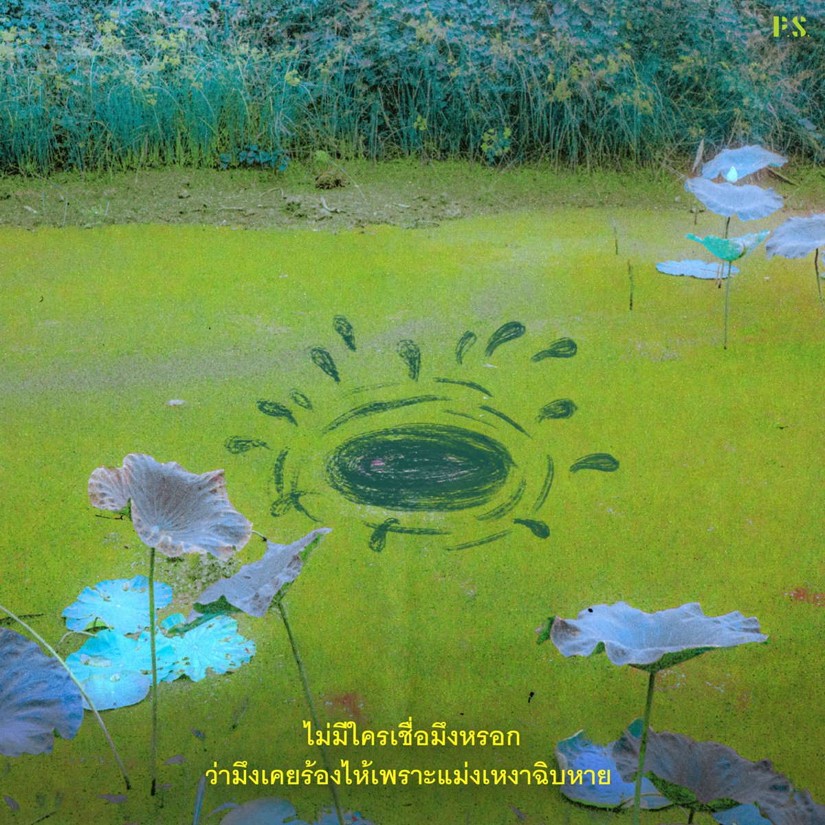 PSpublish's tweet image. เหงาว่ะ
เหงาฉิบหาย