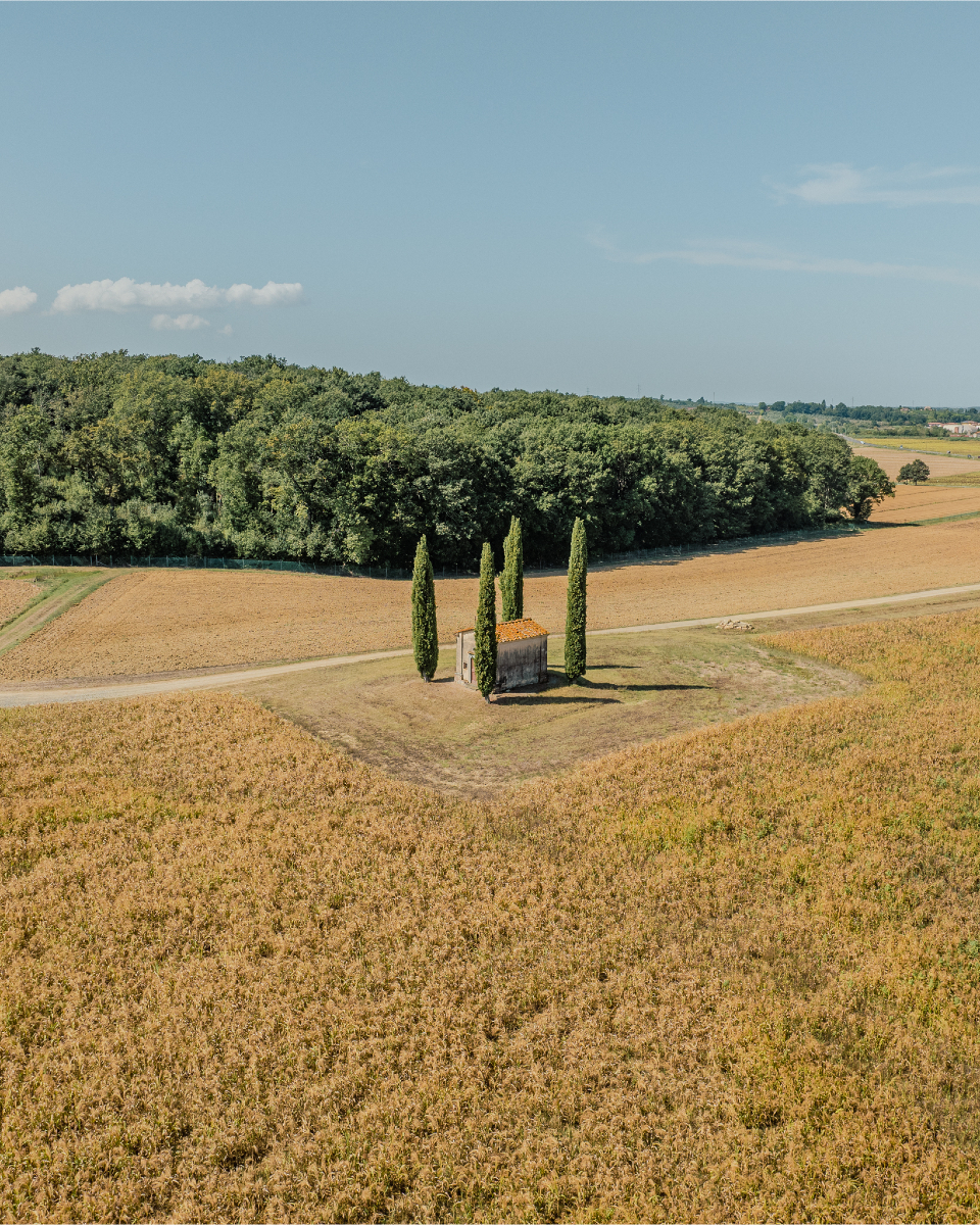 La Chiesa di San Pierino a Camugliano, a #Ponsacco, è uno dei luoghi più interessanti delle <a href="/TerrediPisa/">Terre di Pisa</a>. Circondata dai cipressi, si trova nella Tenuta di Camugliano. La zona è nota anche per la produzione del Bianco Pisano di San Torpè. bit.ly/PonsaccoTerreP…

📸 F. Mazzei