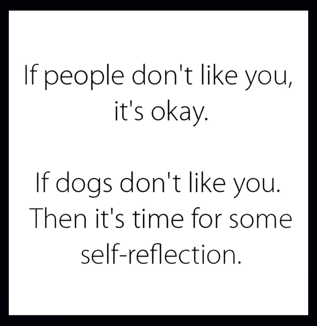 Thursday (@ennui365) on Twitter photo 