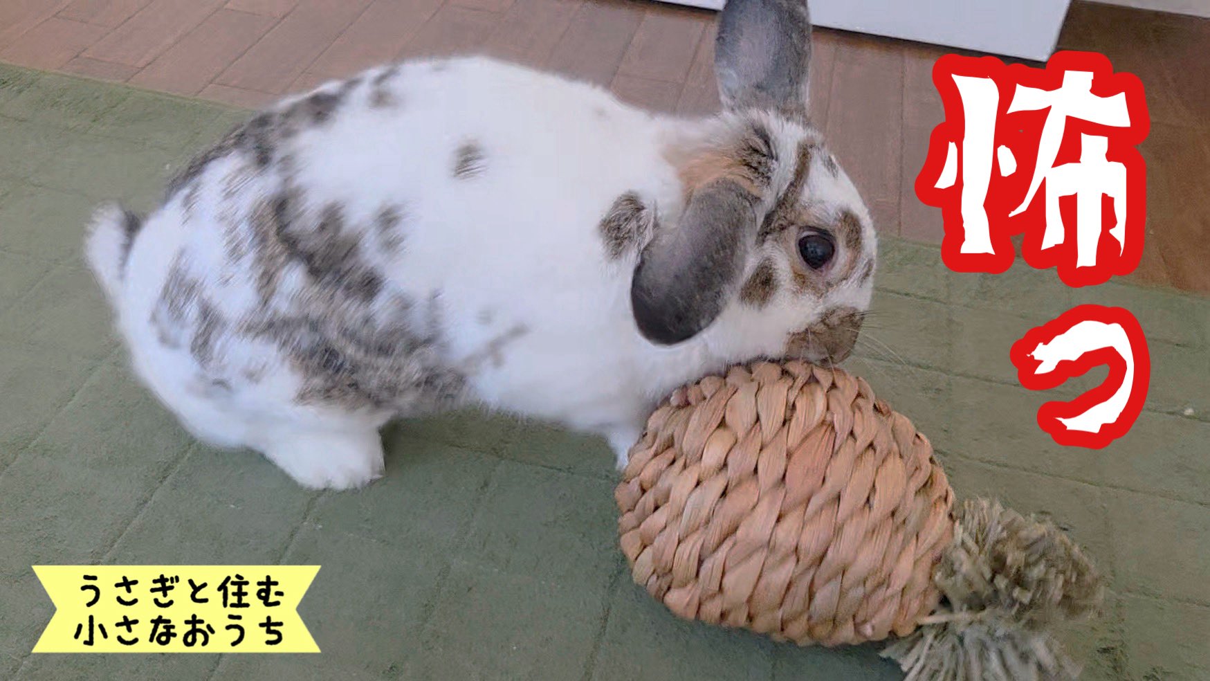 まにゃん👻 (@maninyann) / X