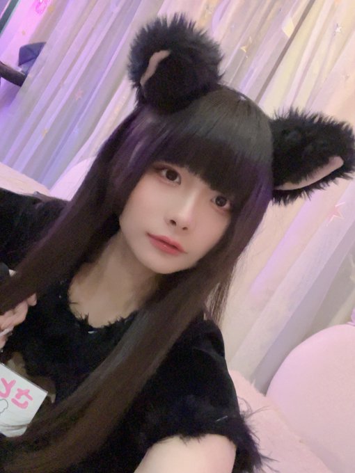 キミとねこ