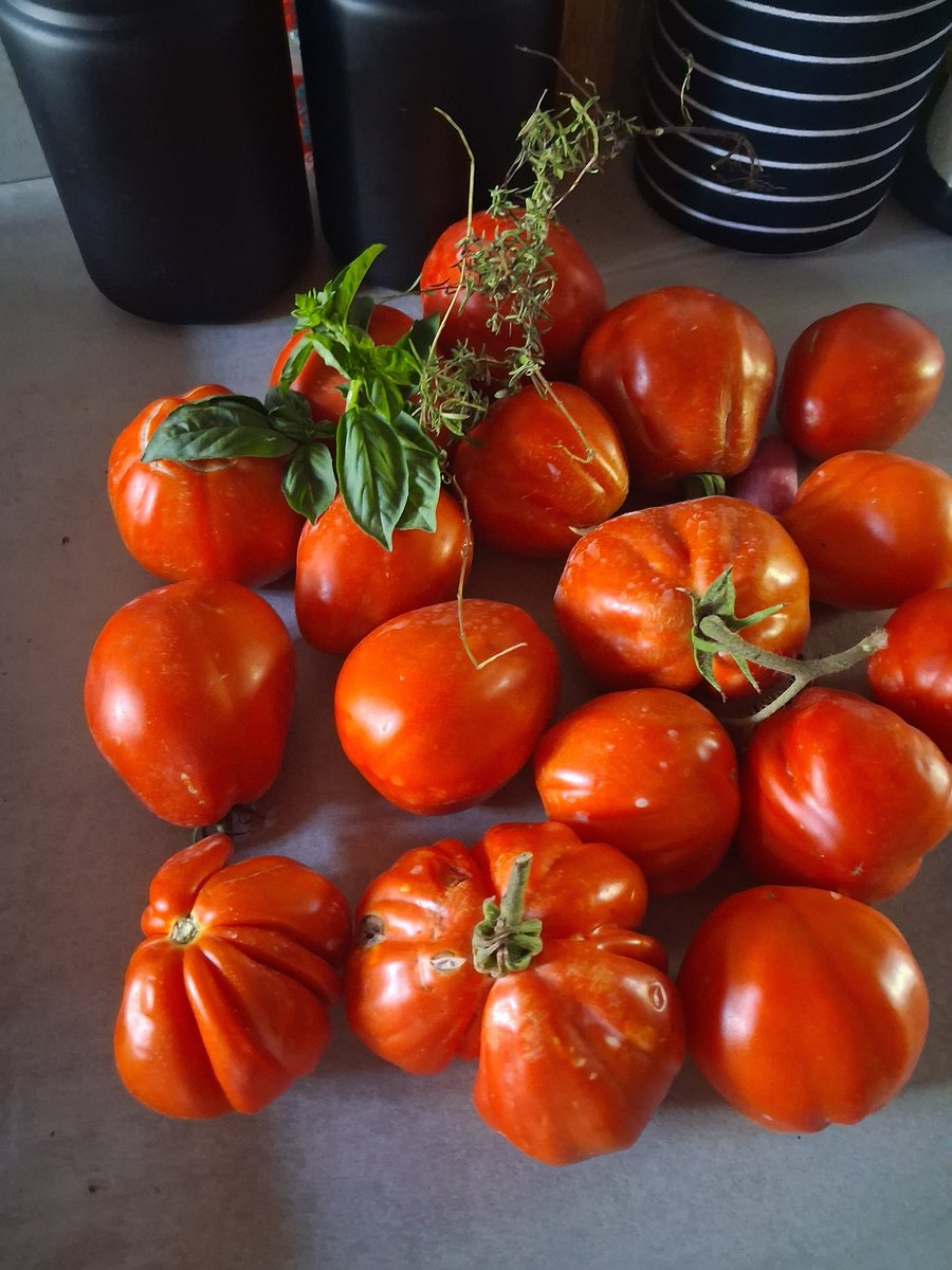 Questa estate ho deciso di dire basta.
Dico basta alle alzate all'alba per fare marmellate e conserve.
Questa estate tutto verrà congelato, frutta varia e pomodori verranno trasformati solo a clima più fresco.
Già il pensiero mi dà frescura.😂