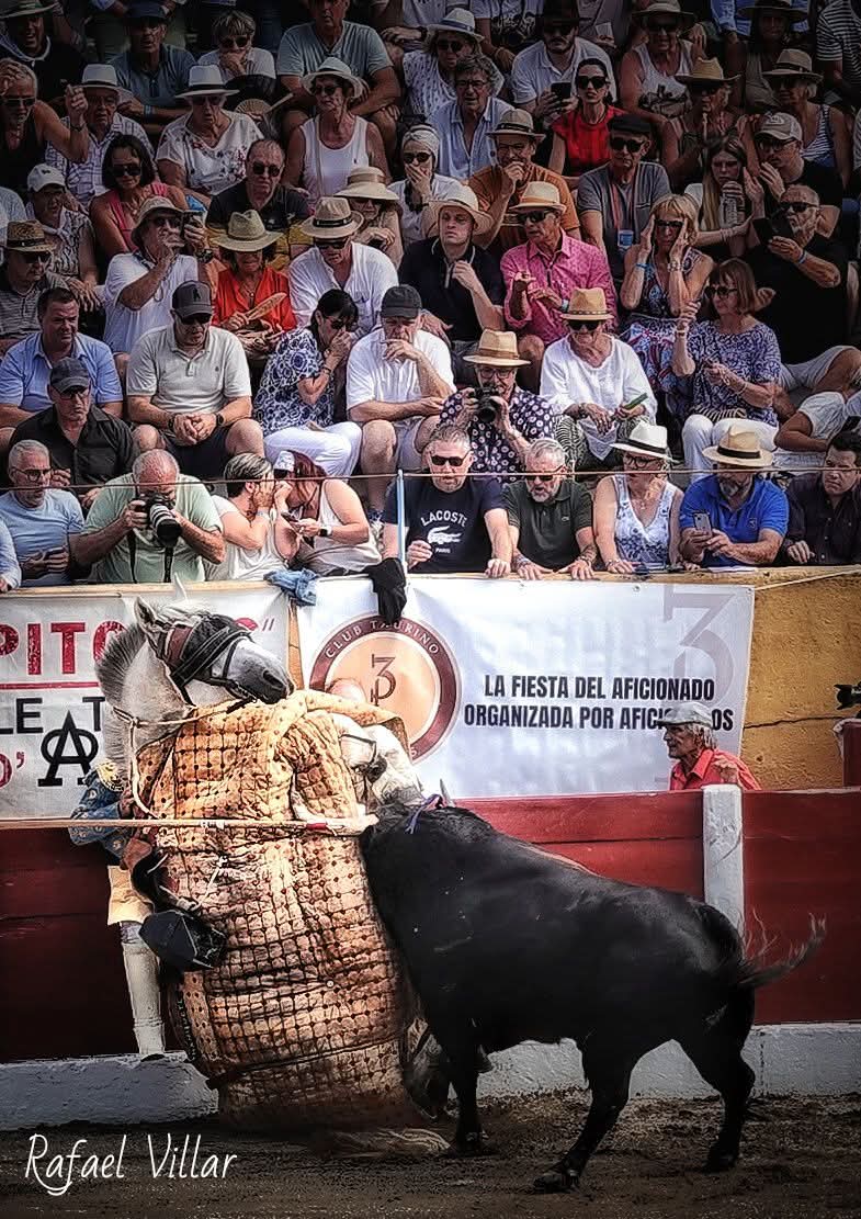 Rafael Villar Moyo (@rvmoyo) on Twitter photo Presidiario 88, de Sobral, derribando a Chanquet, de la cuadra Bonijol, montado por Francisco Romero. Céret (Francia).
<a href="/cfcuartero01/">legionariA</a> <a href="/Anticuario7/">@Anticuario</a> <a href="/aficcioncorucho/">Aficionado Corucho</a> <a href="/beatrice_marge/">Béatrice Margé</a> <a href="/PulgadeTriana/">José Ramón Márquez</a> <a href="/BurladeroJoveen/">BURLADERO JOVEN</a> <a href="/AntonioUriz/">𝒜𝓃𝓉𝑜𝓃𝒾𝑜 ℳ𝒶𝓃𝓏𝒶𝓃𝑜 𝒰𝓇𝒾𝓏.</a> <a href="/BacoTauro/">TauroBaco</a> <a href="/pacomillanchami/">Francisco Millán</a> <a href="/Damian_Bonilla1/">Δaμιav</a> Presidiario 88, de Sobral, derribando a Chanquet, de la cuadra Bonijol, montado por Francisco Romero. Céret (Francia).
<a href="/cfcuartero01/">legionariA</a> <a href="/Anticuario7/">@Anticuario</a> <a href="/aficcioncorucho/">Aficionado Corucho</a> <a href="/beatrice_marge/">Béatrice Margé</a> <a href="/PulgadeTriana/">José Ramón Márquez</a> <a href="/BurladeroJoveen/">BURLADERO JOVEN</a> <a href="/AntonioUriz/">𝒜𝓃𝓉𝑜𝓃𝒾𝑜 ℳ𝒶𝓃𝓏𝒶𝓃𝑜 𝒰𝓇𝒾𝓏.</a> <a href="/BacoTauro/">TauroBaco</a> <a href="/pacomillanchami/">Francisco Millán</a> <a href="/Damian_Bonilla1/">Δaμιav</a>