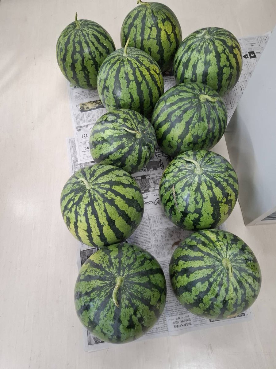 sakurauchikoshi's tweet image. 本日7月23日も、ご挨拶まわり。
#新潟市秋葉区 の小島晋県議の事務所の皆さまのお力なくして、私の勝利はありません😊‼️
採れたて・茹でたての枝豆のおもてなし、心に沁みました🥹✨
平時に戻りつつある私の事務所には、
「スイカ、おすそ分けしますね」とのご連絡。
ごろんごろんと10個も!!🍉🍉🍉…