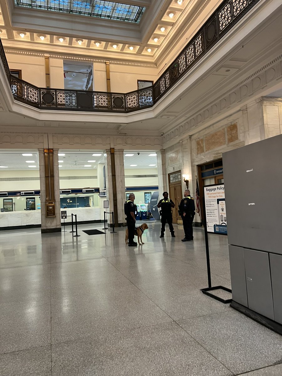 christen_rexing's tweet image. Baltimore, I am in you. You’re welcome!
PSA: Labs should not be allowed to be police dogs. This is one of the potentials ways I will meet my untimely end.