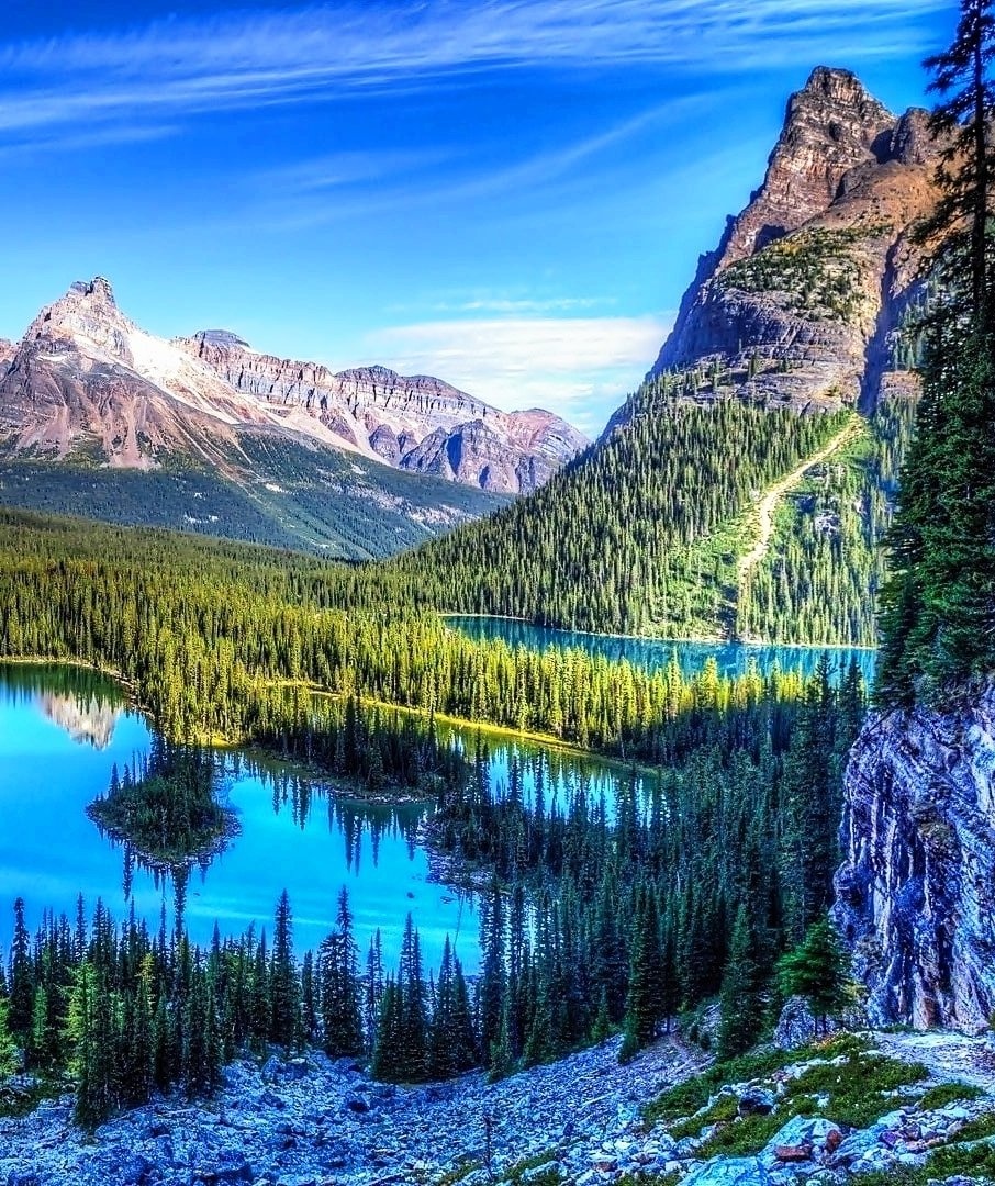 LoveSongs4Peace's tweet image. Beautiful blue day at Lake OโHara in Yoho National Park, British Columbia, Canada ๐จ๐ฆ