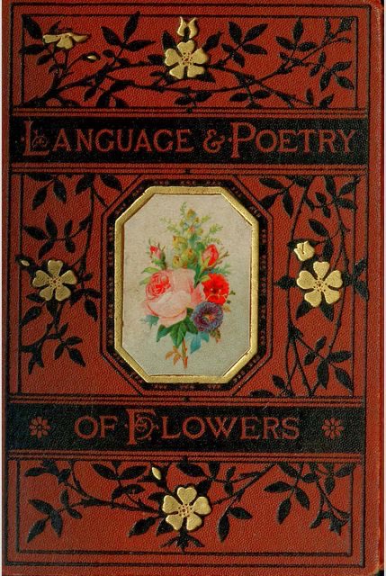 HWarlow's tweet image. I used to sell books. Second hand and antiquarian . I tried to save some beautiful covered ones and we do have a few
I sold a lot and now regret it but with a growing family to feed I had no options
These aren’t mine sadly