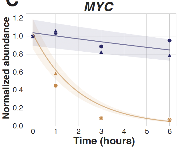 Iain Cheeseman tweet media