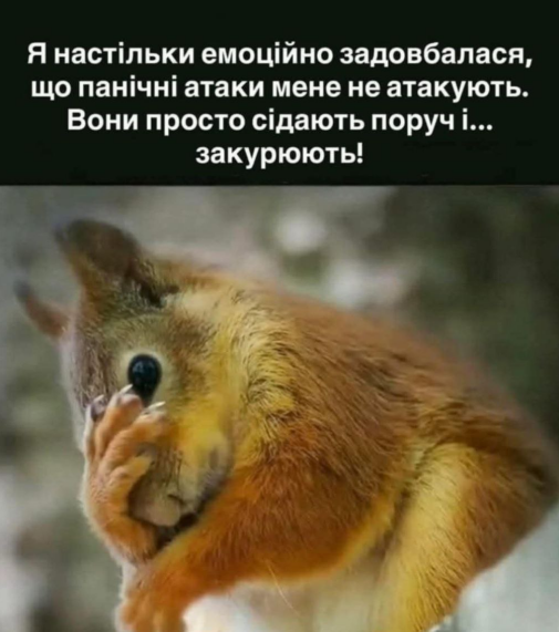 13Hellis_13's tweet image. ось... сидимо зараз мовчки ( бо голосу в мене немає досі)... розуміємо одна одну без слів...