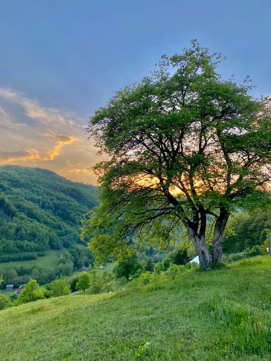 01IOTA's tweet image. Good morning, brothers and sisters!
"See to it that no one takes you captive by philosophy and empty deceit, according to human tradition, according to the elemental spirits of the world, and not according to Christ. For in him the whole fullness of deity dwells bodily."
-…