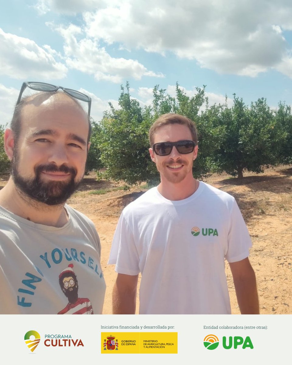 RAICES_info's tweet image. 📍 ¡Última parada de esta edición del #ProgramaCULTIVA: #Valencia! 🔚

Jesús Arastey está en Agrobayo, explotación referente que ha sabido adaptarse al nuevo contexto del sector: reconversión varietal, injertos de precisión y producción integrada 🍊