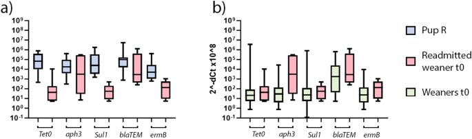 In #AnimalMicrobiome

🔍Investigating the impacts of antimicrobial treatment on the gut microbiome &amp; resistance of rehabilitating seals🦭

🚨Untreated seals cohabiting with treated seals exhibited increased resistance gene loads

👉doi.org/pxb2