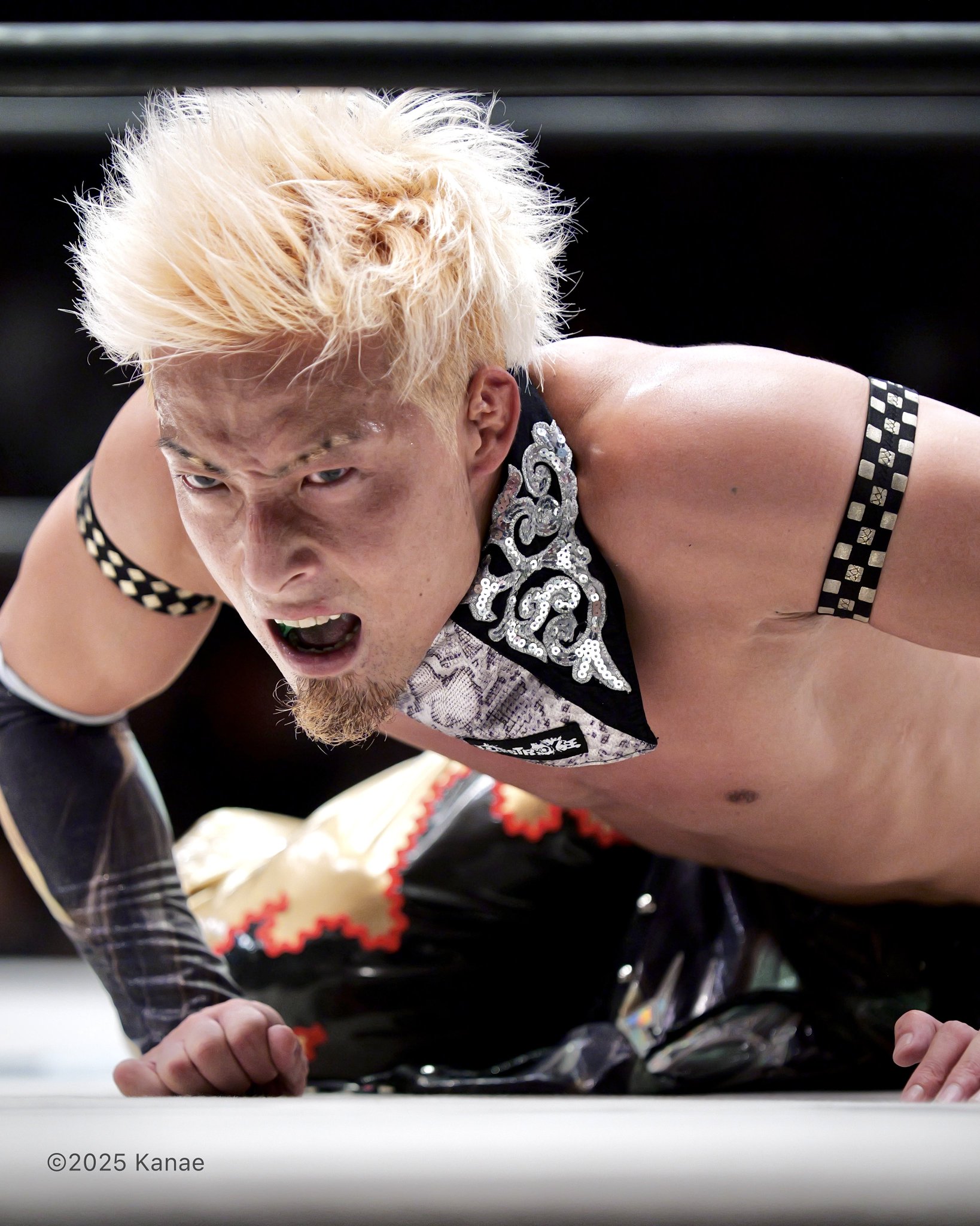 Kanae on X: 