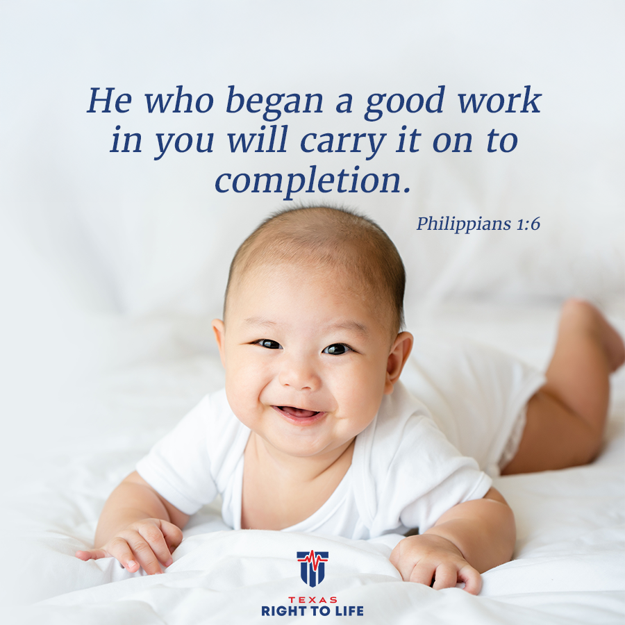 TXRightToLife's tweet image. Thank you Lord for always working within us!
Let's pray together. If you have a prayer request, leave a comment and we'll lift you up in our daily office prayers!