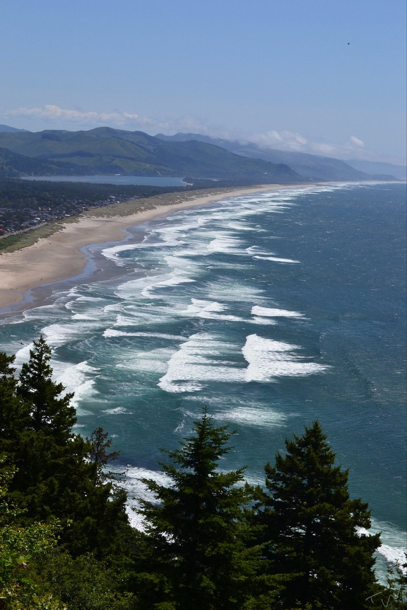 T. Walton tweet media