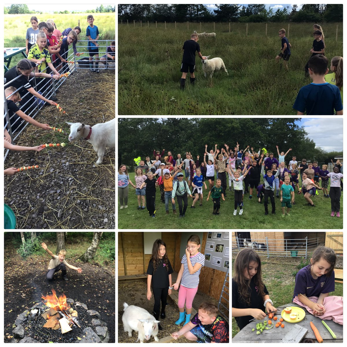 Year 5 <a href="/wellspring/">wellspring</a> residential swap experience was a success! Thanks to our friends at Forest Moor for hosting us! #experiencesforall 🐐 🔥 🌳