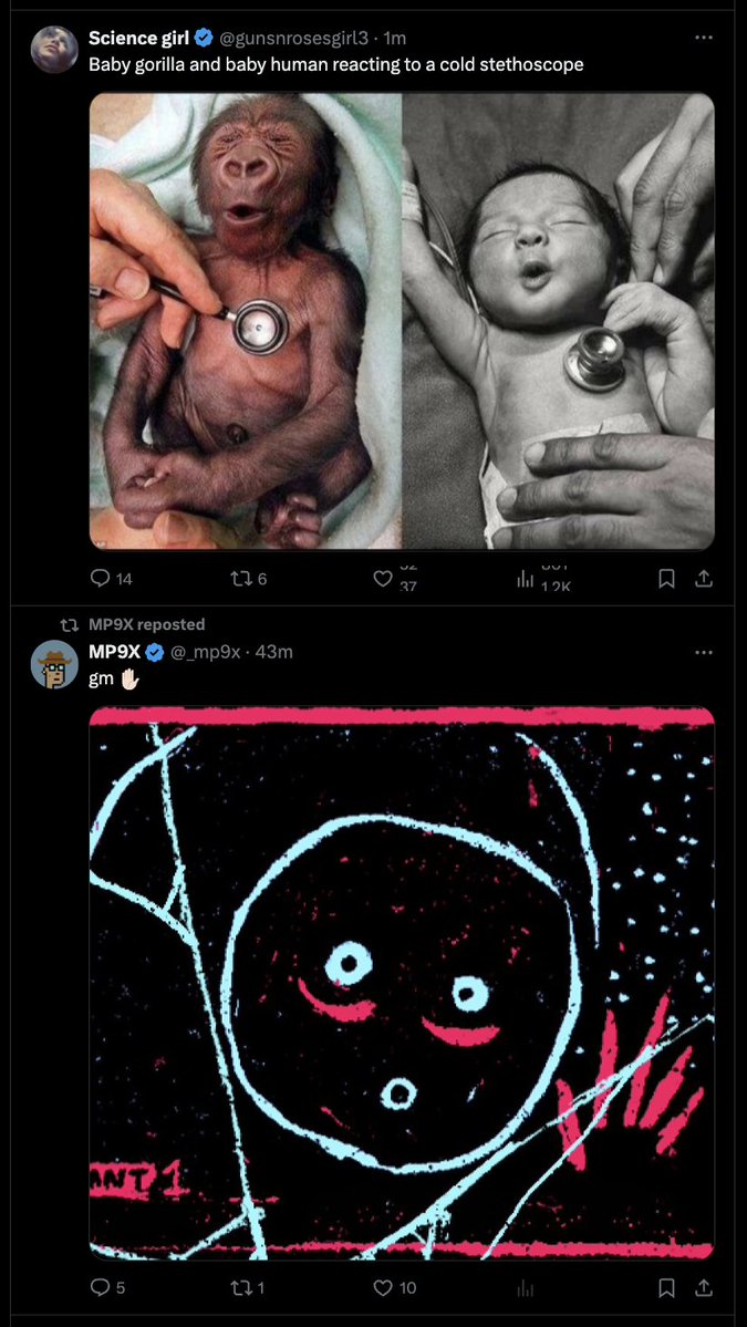 Gazzinho's tweet image. X algo making predictions about our evolution to purely digital forms today 🤌