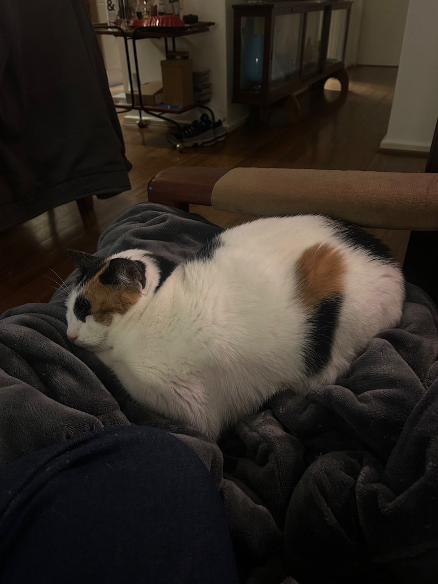 really amazing shape for an animal to be