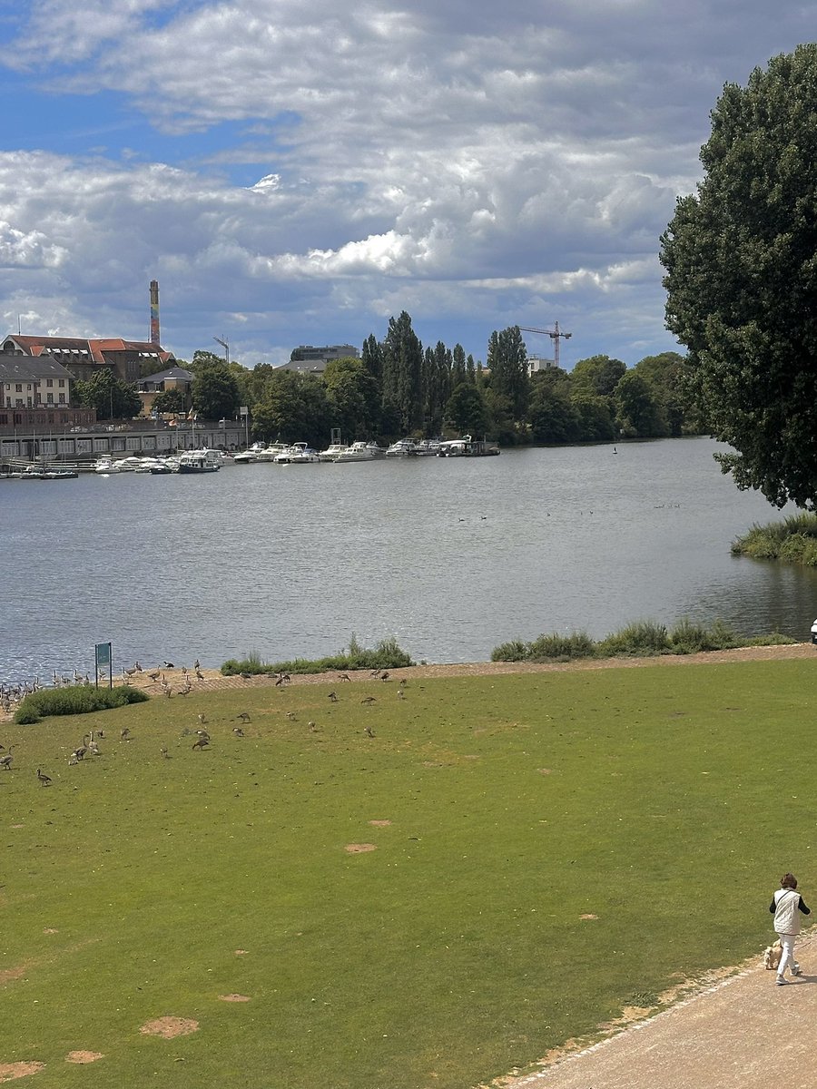 ㅊ … 🪽 tweet media