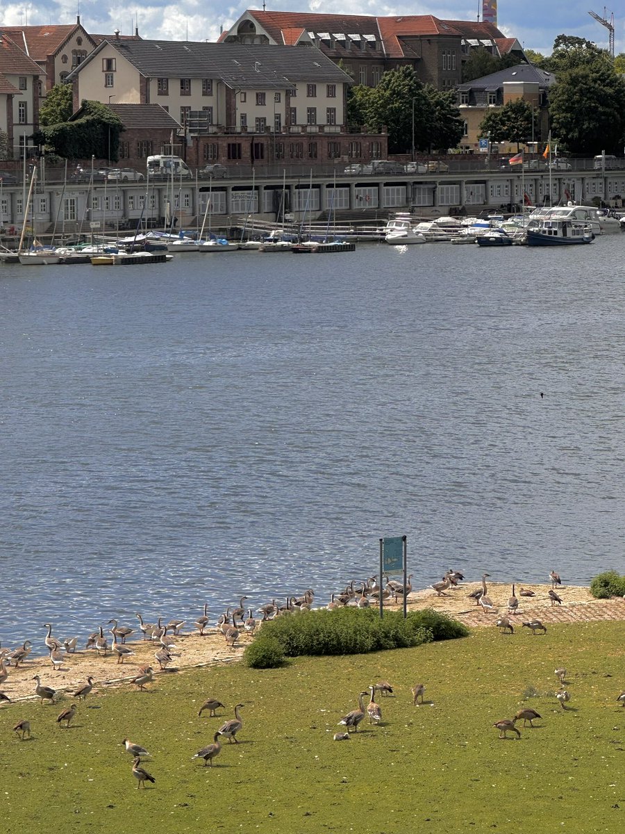 ㅊ … 🪽 tweet media