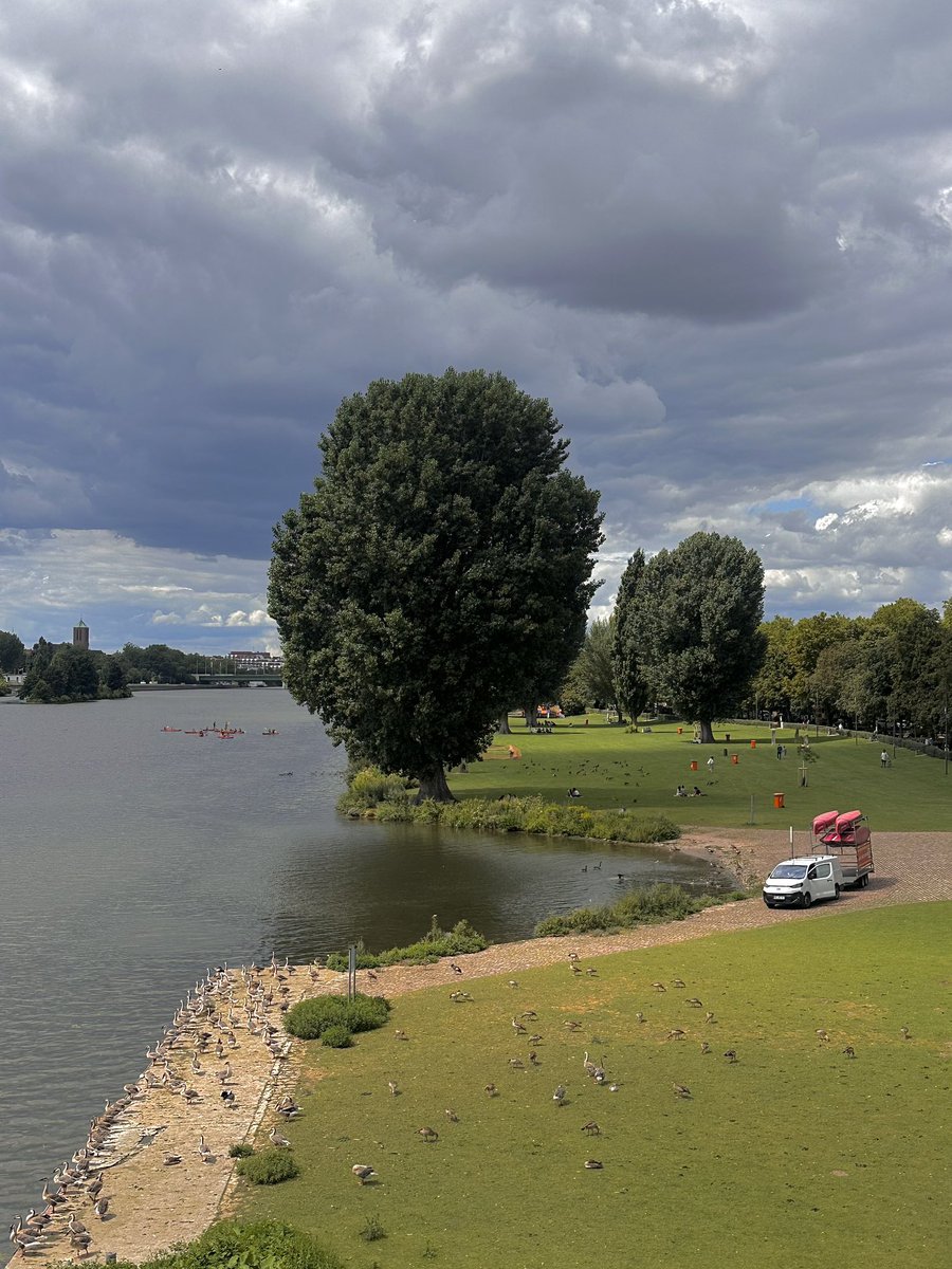 ㅊ … 🪽 tweet media