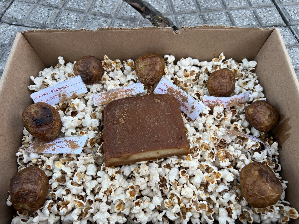 Ustedes como arrancaron el día?
Yo con una ofrenda umbanda en la puerta del laburo ✨🌈🧚🏼‍♀️