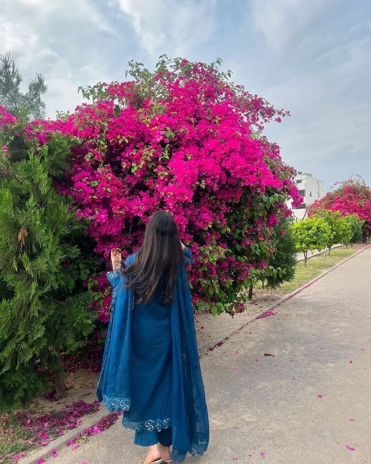 Syeda🌿 tweet media